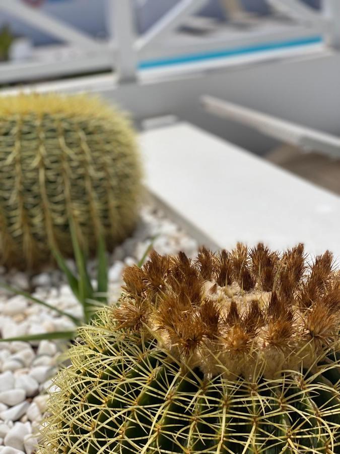 פלאיה הונדה Flower Beach Deluxe מראה חיצוני תמונה